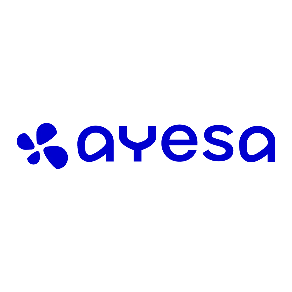 AYESA_2024.png